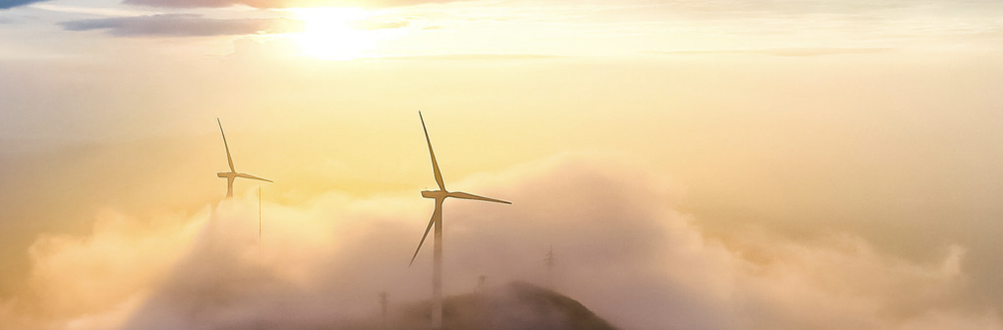 beats365йܽ˾ԱСǡҵ+